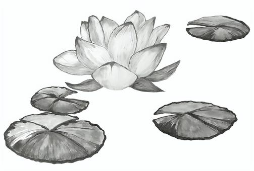 水墨画 蓮イラスト｜無料イラスト・フリー素材なら「イラストAC」