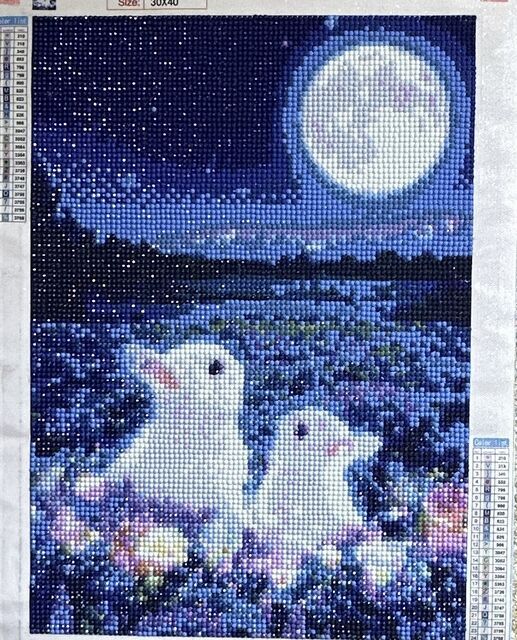 ダイヤモンドアート／月夜のうさぎ→完成しました。 - 50歳からの