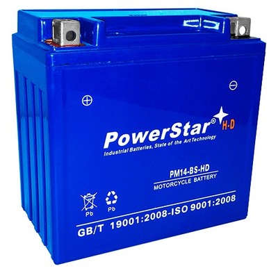 YTX14-BS PowerSport Battery fits: KAWASAKI ZX1100-D Ninja ZX-11