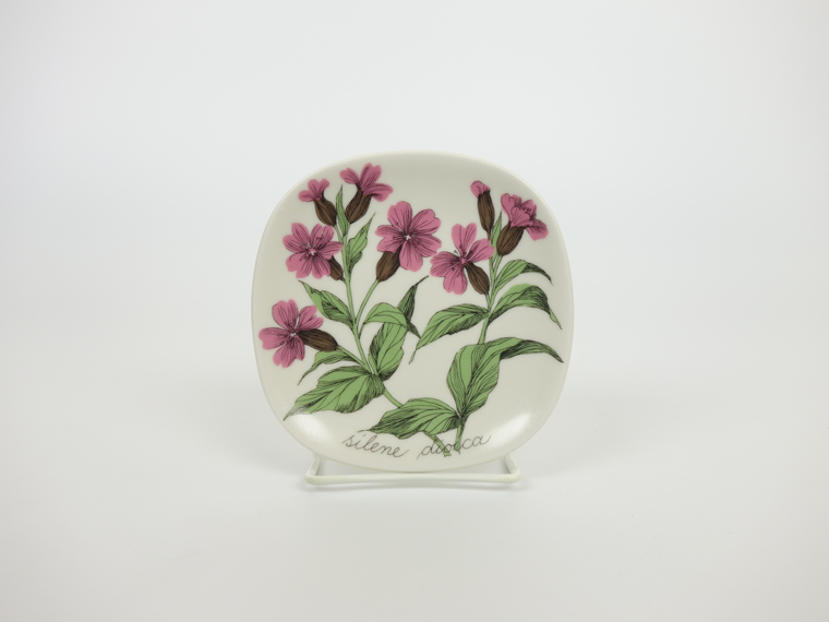 ARABIA/アラビア Botanica/ボタニカ silene dioica(レッドキャンピオン