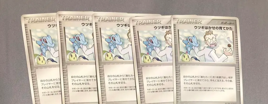 2026年最新】ポケモンカード ウツギはかせの育てかた 023/L-P プロモの