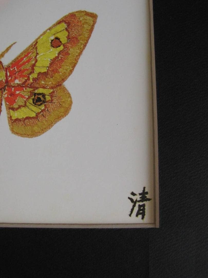 山下清、【蛾】、希少な額装用画集より、美品、日本人画家、新品額装付